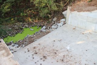 Rekonstrukce Hlubokého rybníku 2015 - obrázek 22